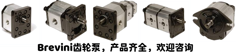 布雷维尼齿轮泵